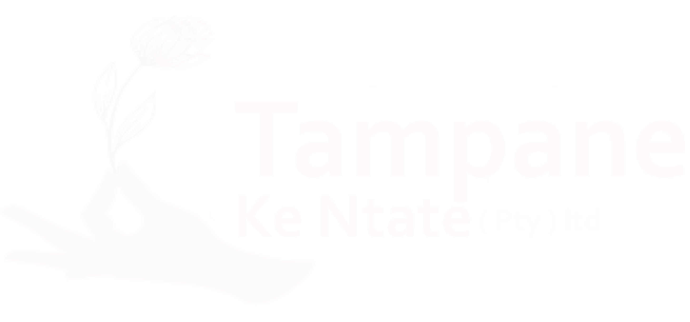 Tampane